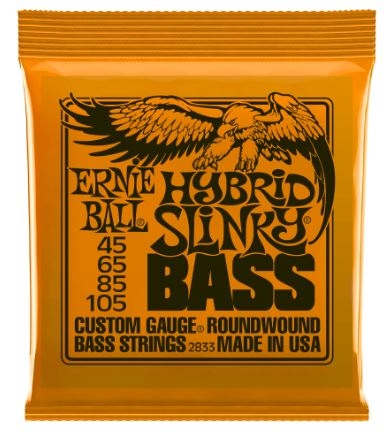 ERNIE_BALL_2834.jpg